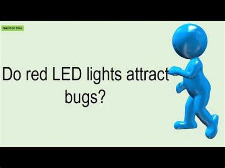 Does red light attract bugs?