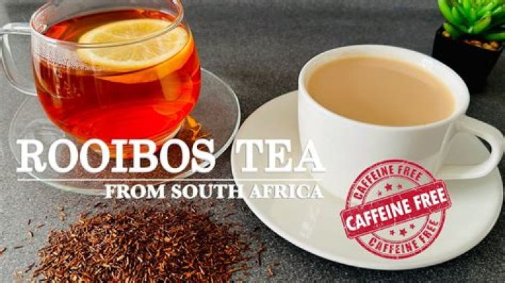 Does rooibos tea have catechins?
