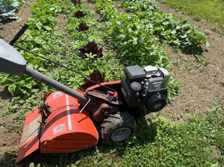 Does rototilling kill weeds?