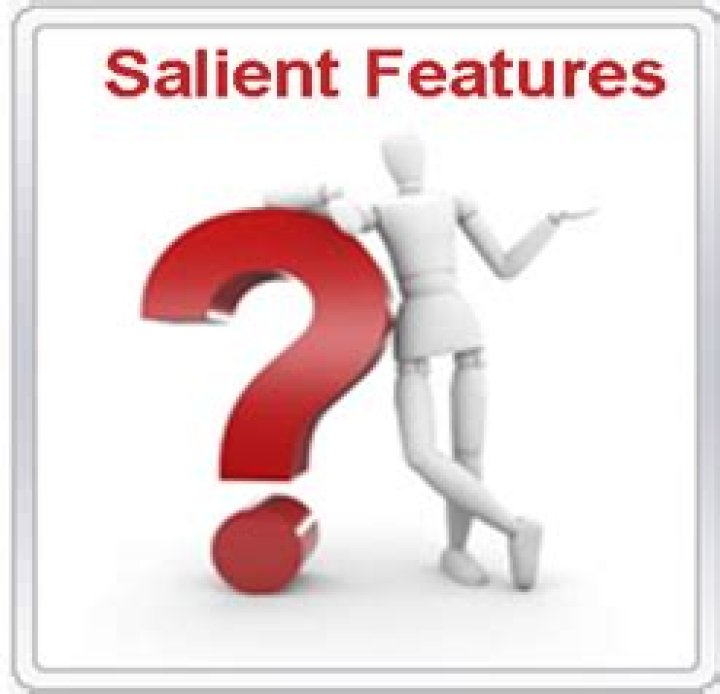 Does salient feature mean?