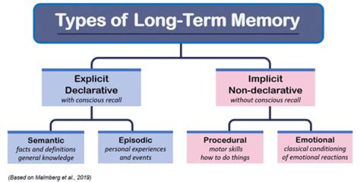 Does semantic memory decline with age?