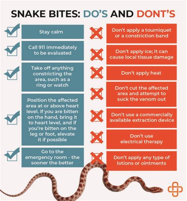 Does snake antivenom only work once?