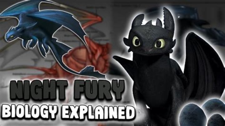 Does tavi get a fury?