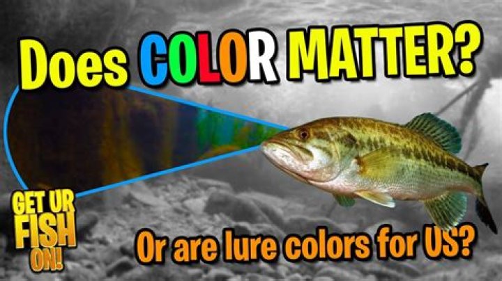 Does the color of your lure matter?