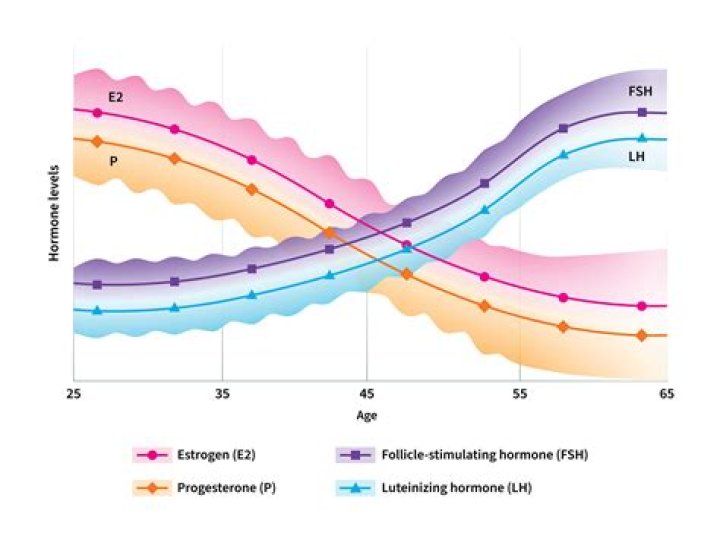 Does the diencephalon controls hormone levels?