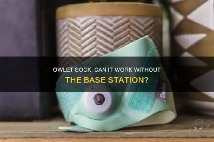 Does the owlet sock work?