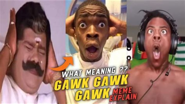 Does the word gawking mean?