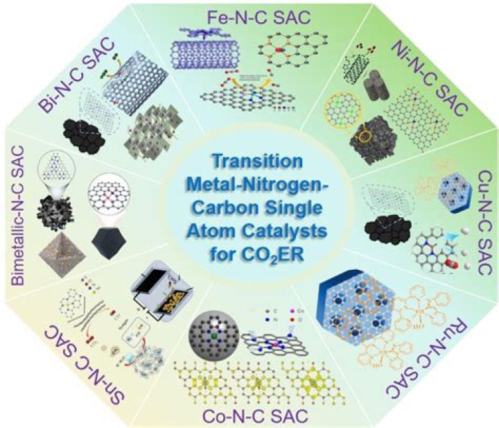 Does transition metal catalysts?