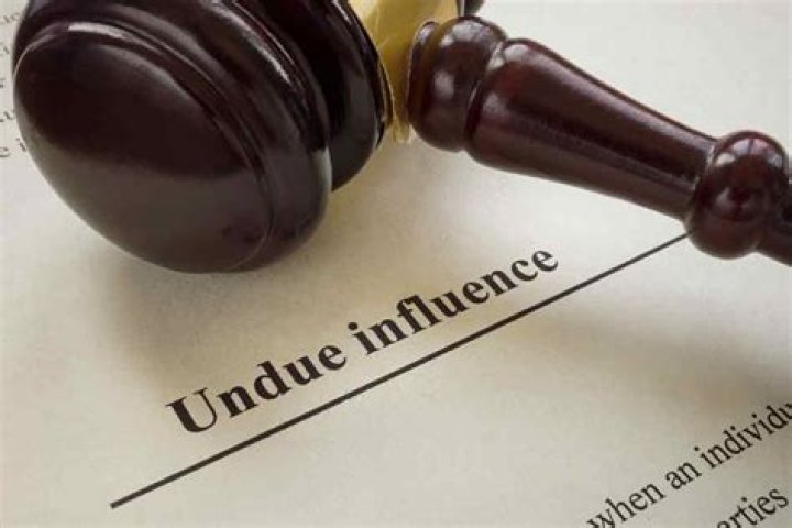 Does undue influence mean?