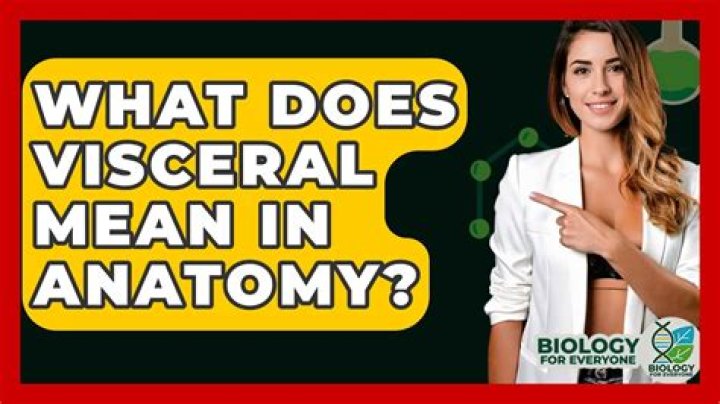 Does viscera mean innards?