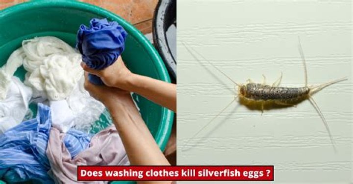 Does washing clothes kill moth larvae?