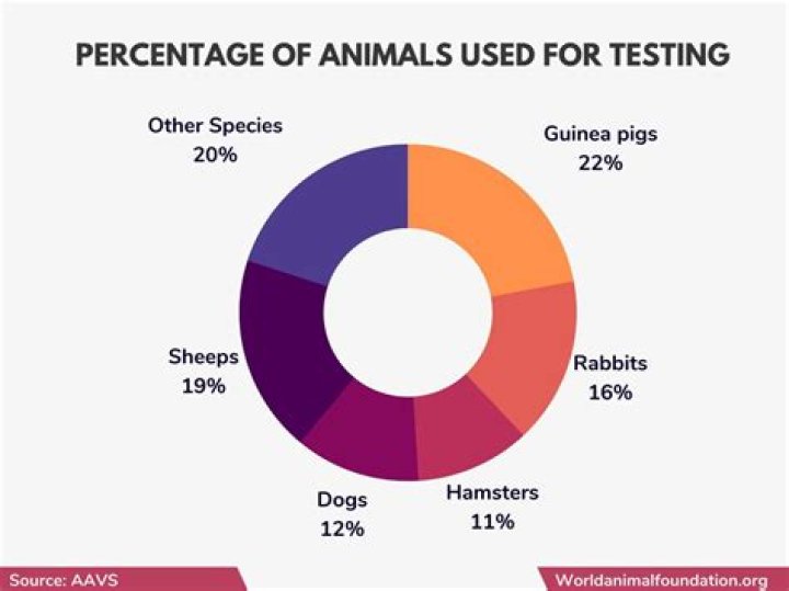Does whamisa test on animals?