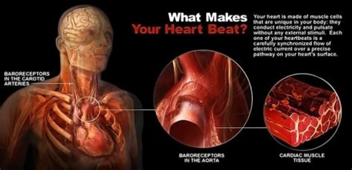 Does your heart beat faster in the sun?