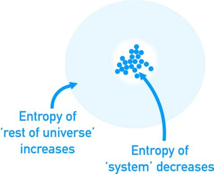 During a reversible process the entropy of the universe?