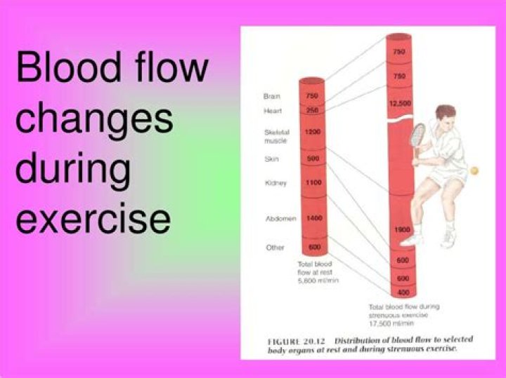 During exercise blood flow?