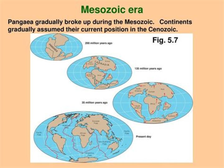 During the mesozoic era pangaea separated into?