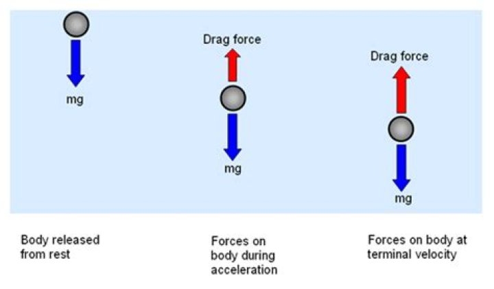 For an object falling freely?
