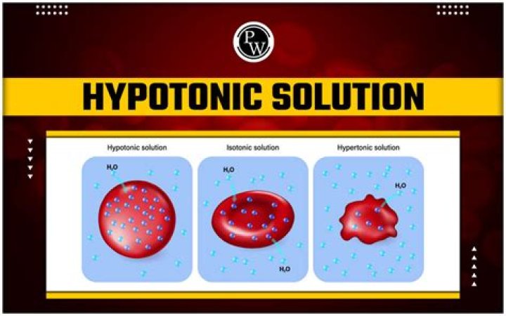 For example of hypertonic solution?