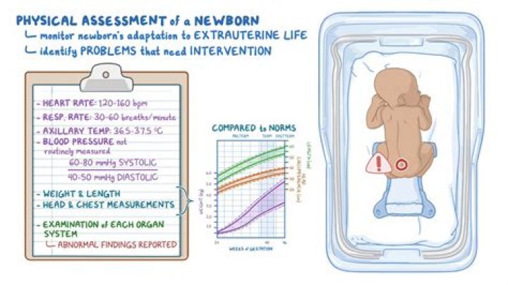 For how long should a newborn nurse?