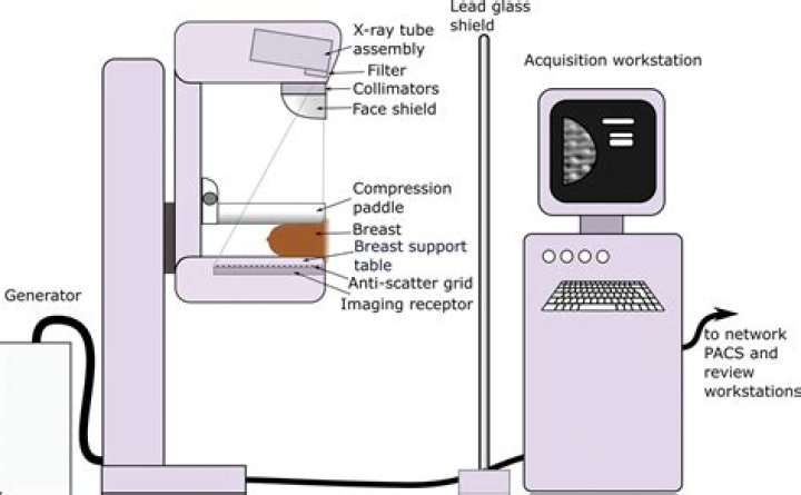 For mammographic x-ray imaging?