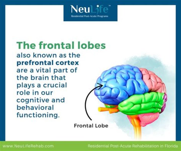 For the frontal lobe of the brain?