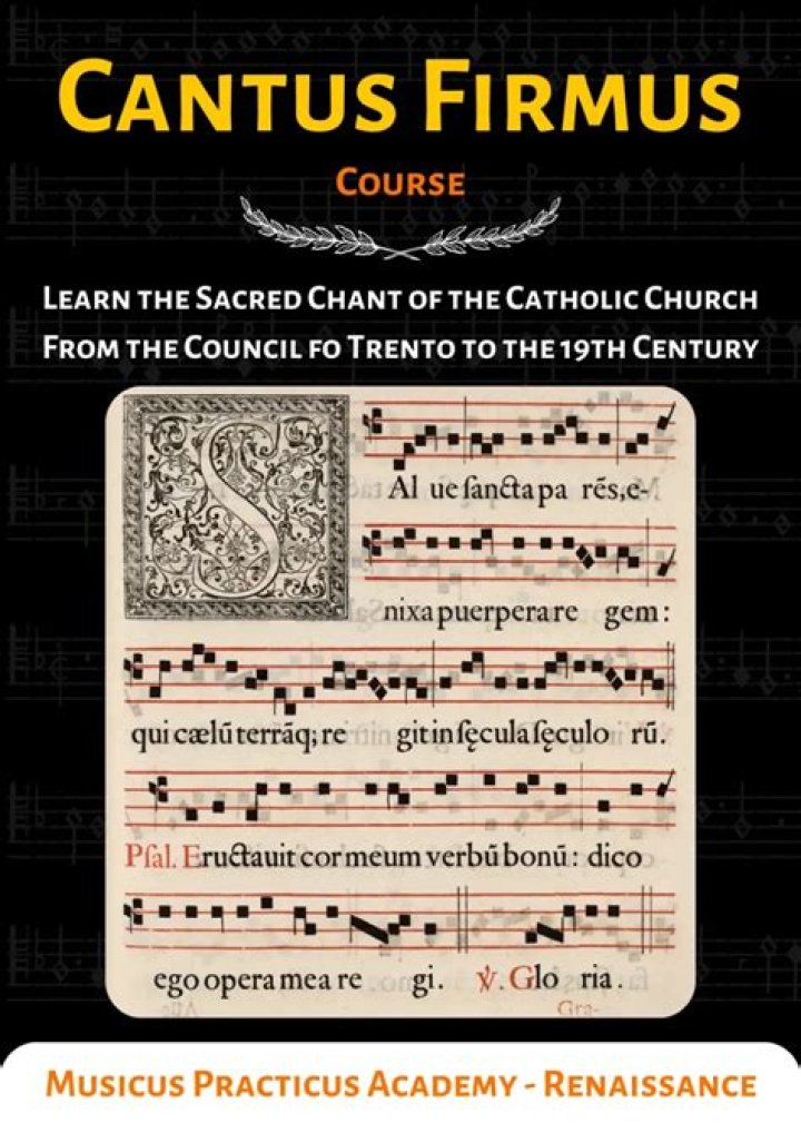 For what is the term cantus firmus used?