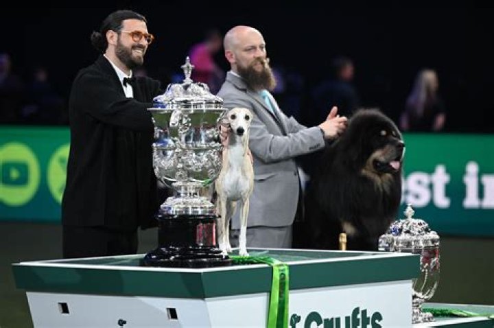 Has a bedlington ever won crufts?