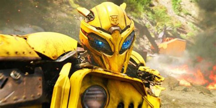 Has bumblebee ever died?