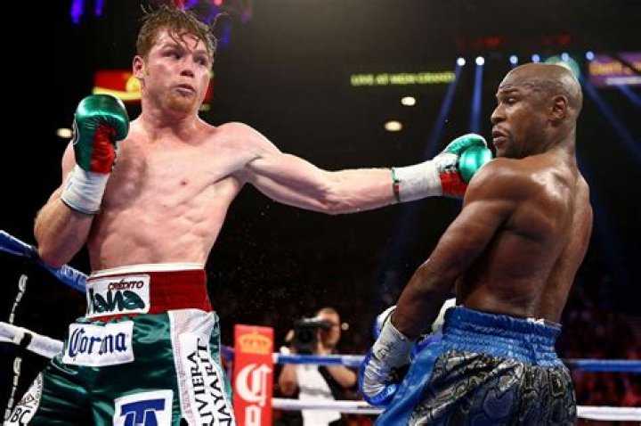 Has floyd mayweather ever been dropped?