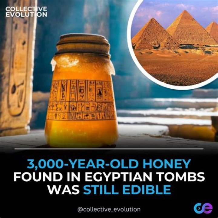 Has honey been found in egyptian tombs?