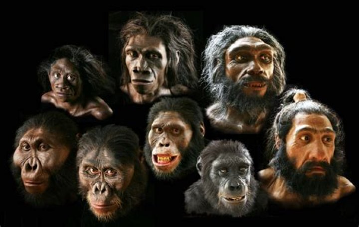 Has human evolution stopped?
