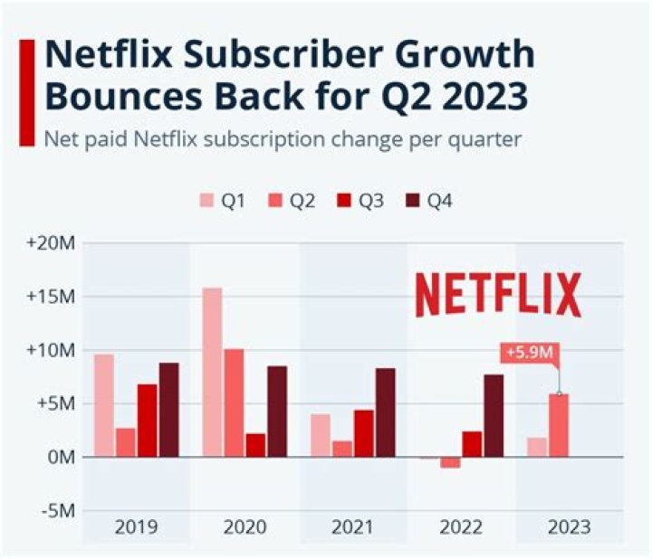 Has netflix subscriptions gone down?