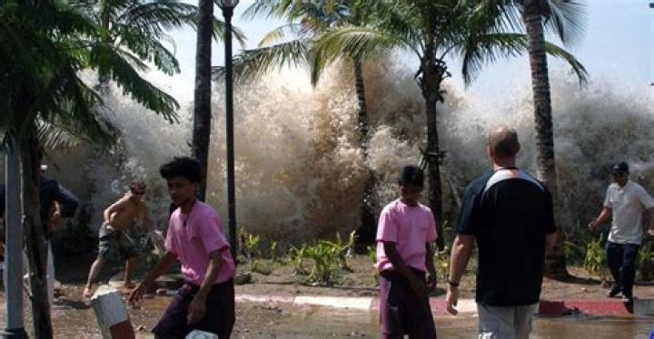 Has phuket recovered from tsunami?