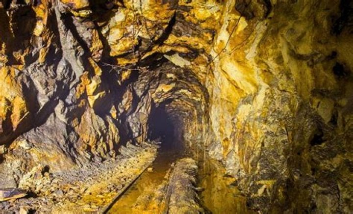 Has plummer's gold been found?