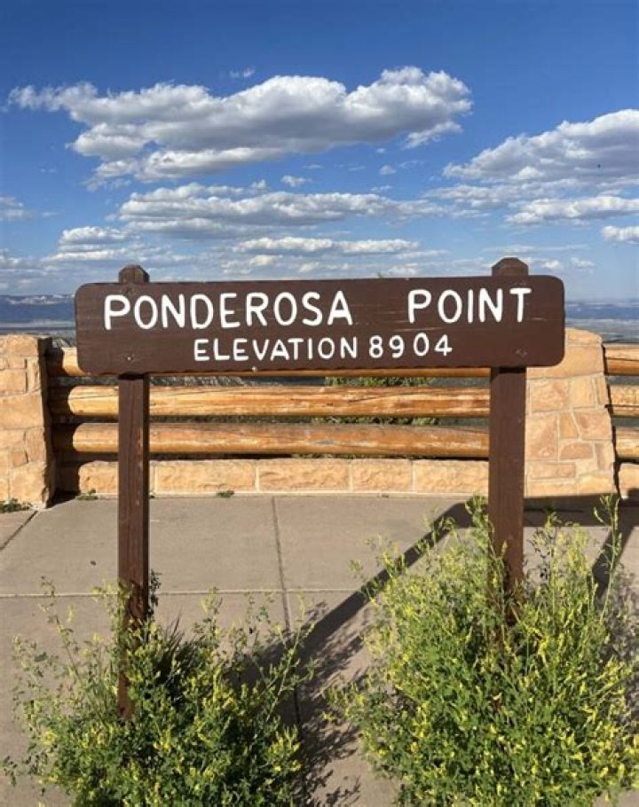 Has ponderosa closed on international drive?