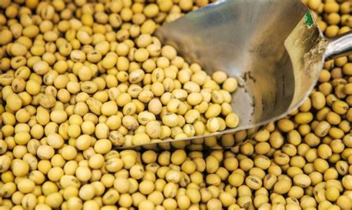 Has soybeans been genetically modified?