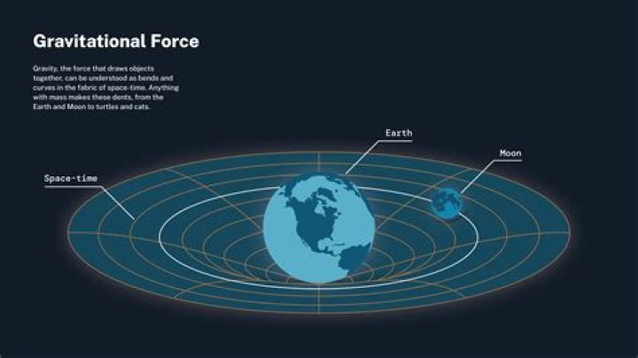 Has the gravitational force?