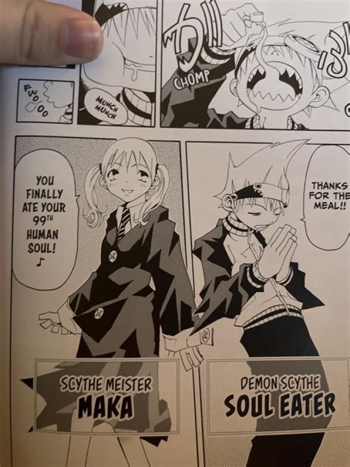 Has the soul eater manga ended?