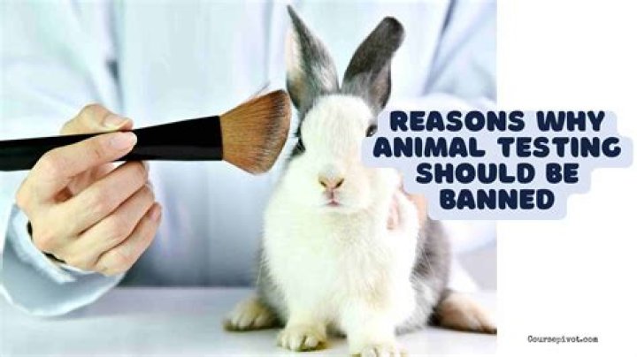 Has the uk banned animal testing?
