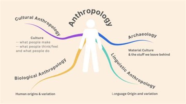 How anthropologists study modern media?