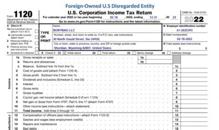 How are disregarded entities taxed?