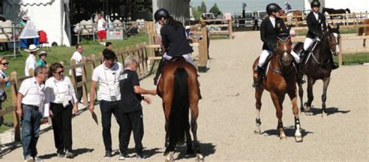 How are horses chosen for modern pentathlon?