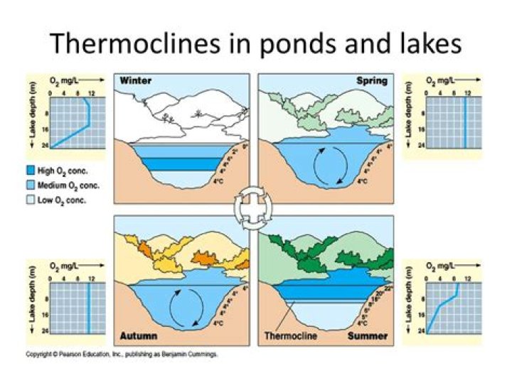 How are thermoclines haloclines and pycnoclines different?