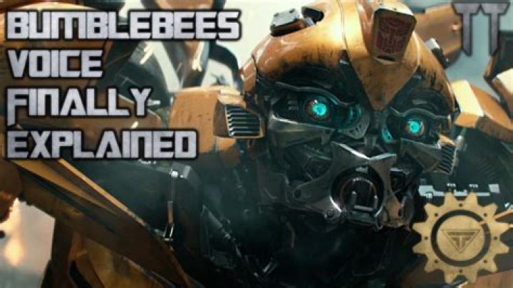 How bumblebee lost his voice?