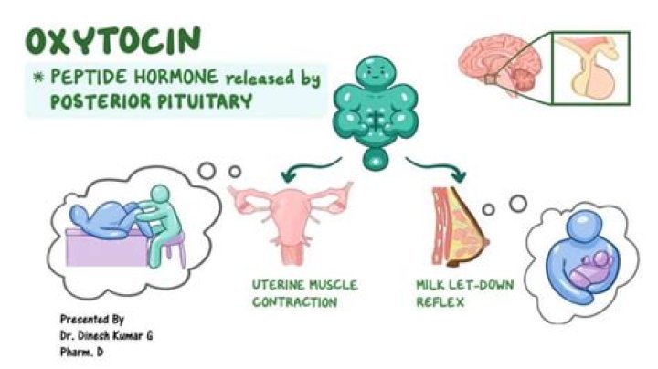 How can i release oxytocin?