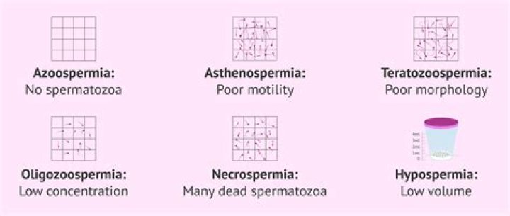 How can oligospermia be treated naturally?