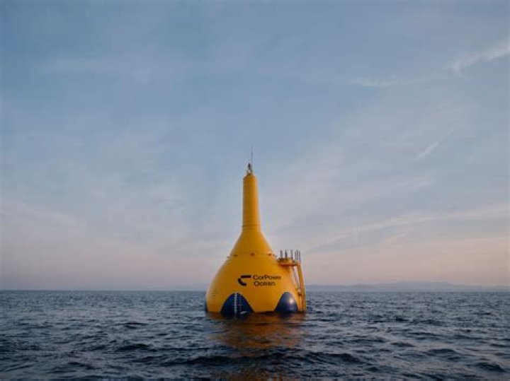 How can we use buoy in a sentence?