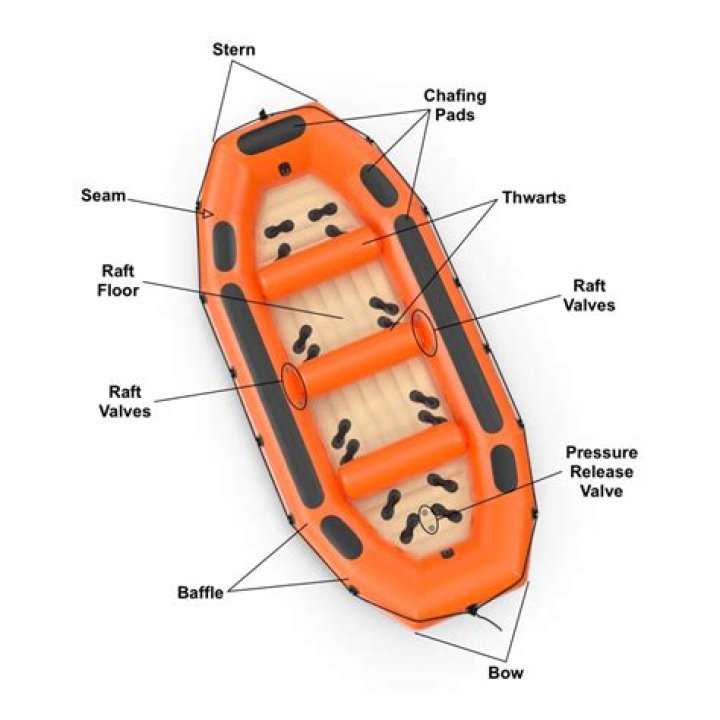 How close should paddlers remain to shore?
