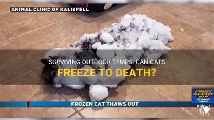 How cold to freeze to death?