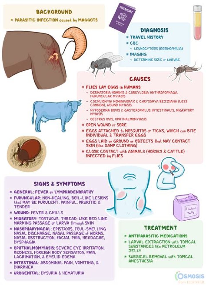 How common is gerontophilia?